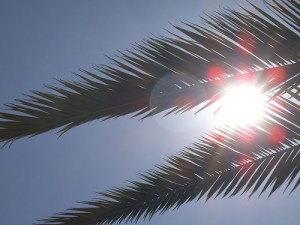 7692814238_d09c9815f0