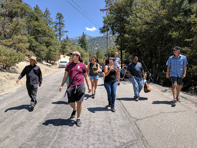 35011351824_3f2553521a_z