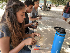 29414342968_bfdd045e9f_m