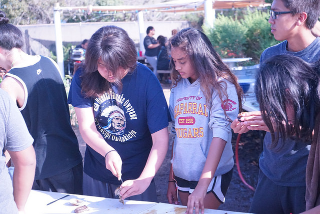 42510234965_0b9bd63c48_z