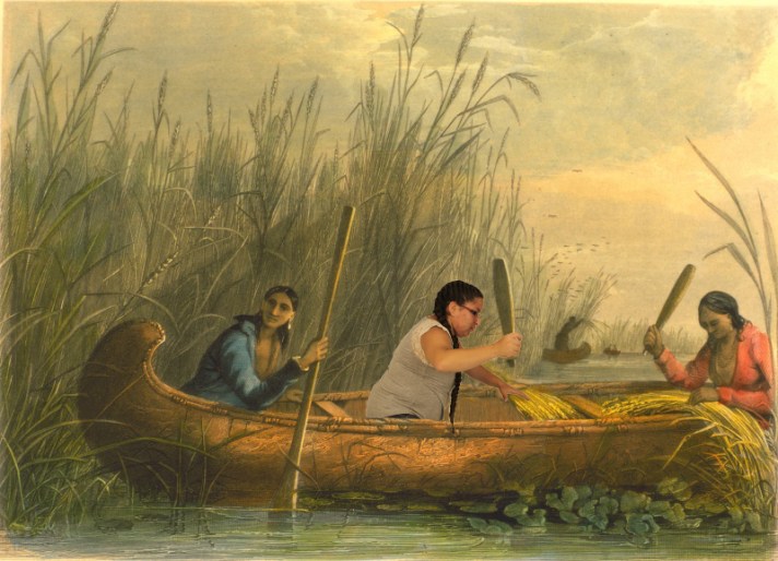 Jacquelyn-Rice (1) copy.jpg